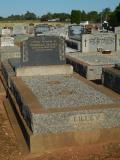 image of grave number 558335